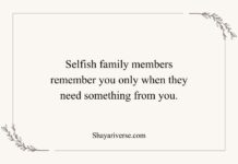 Family Matlabi Rishte Quotes Family Matlabi Rishte Quotes