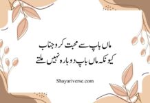 Maa Baap Poetry in Urdu Maa Baap Poetry in Urdu